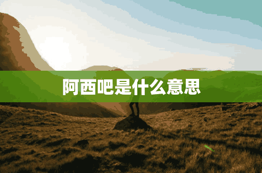 阿西吧是什么意思(阿西吧是什么意思韩语)